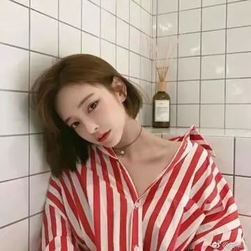 春天情书