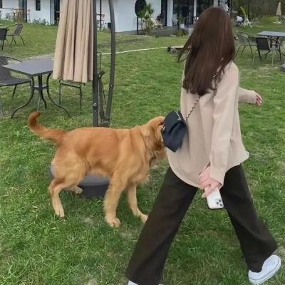 亚洲舞王